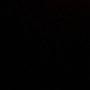 Meet your Posher, Logan